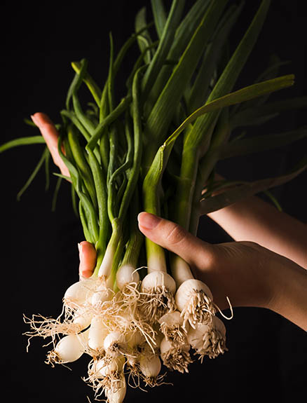 Çiriş Otu Nedir? Çiriş Otu Faydaları Nelerdir?