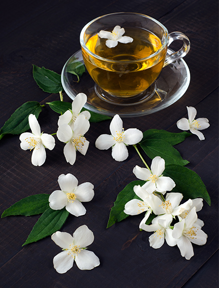 Yasemin çayının faydaları neler? Yasemin çayı hangi hastalıklara iyi gelir?